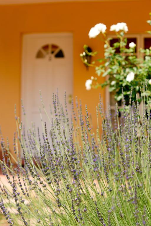 Little Tuscany Boutique Hotel Johannesburg Eksteriør bilde